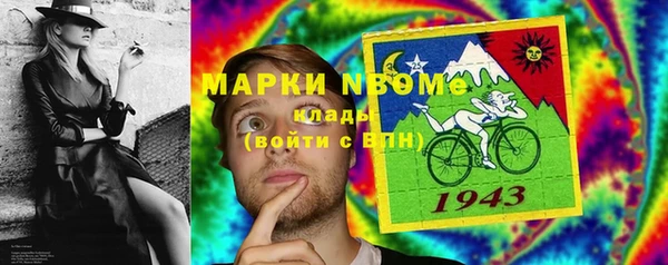 прущие грибы Бронницы